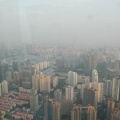 IMG_5431.JPG